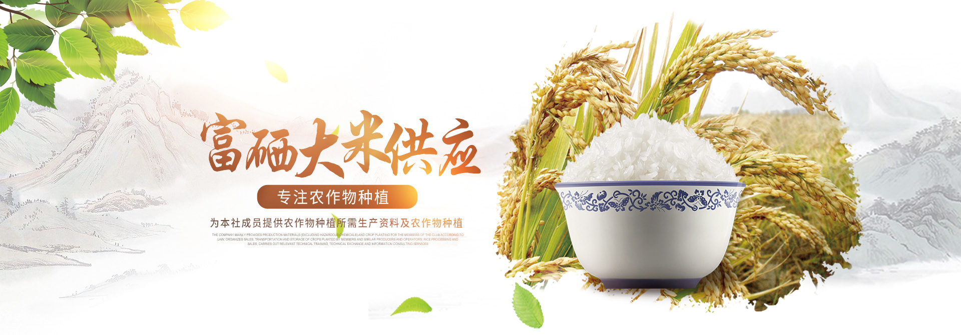 桃源县团结农业专业合作社-农作物种植-大米加工-菜籽油供应